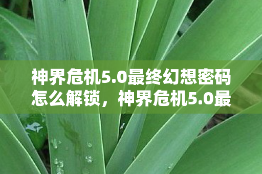 神界危机5.0最终幻想密码怎么解锁，神界危机5.0最终幻想密码揭秘与游戏深度解析