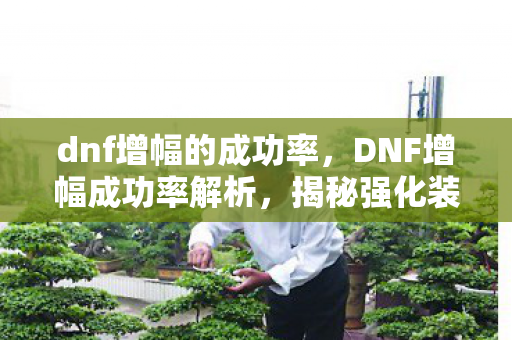 dnf增幅的成功率，DNF增幅成功率解析，揭秘强化装备的神秘面纱