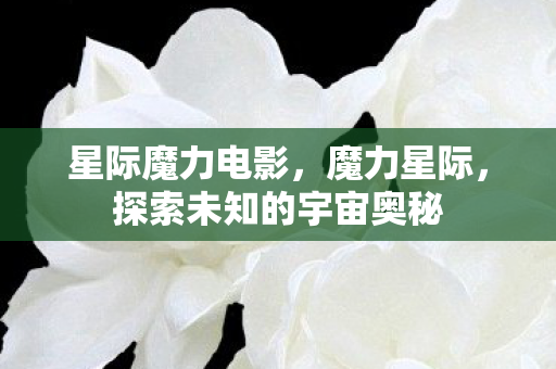 星际魔力电影，魔力星际，探索未知的宇宙奥秘