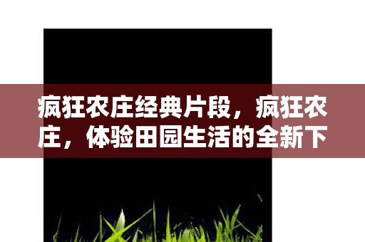 疯狂农庄经典片段，疯狂农庄，体验田园生活的全新下载体验