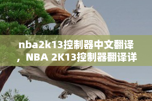 nba2k13控制器中文翻译，NBA 2K13控制器翻译详解