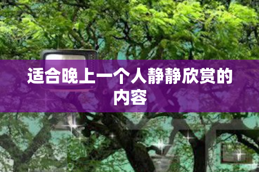 适合晚上一个人静静欣赏的内容