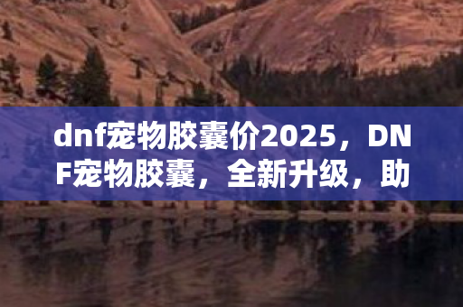 dnf宠物胶囊价2025，DNF宠物胶囊，全新升级，助力冒险之旅