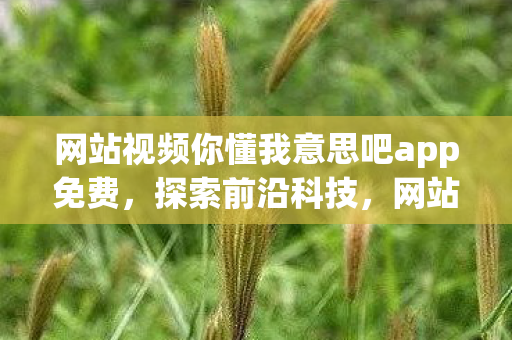 网站视频你懂我意思吧app免费，探索前沿科技，网站视频与APP中的个性化推荐技术解析