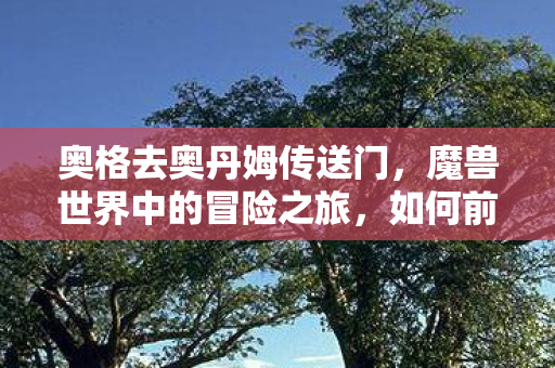 奥格去奥丹姆传送门，魔兽世界中的冒险之旅，如何前往奥丹姆—奥格的指南