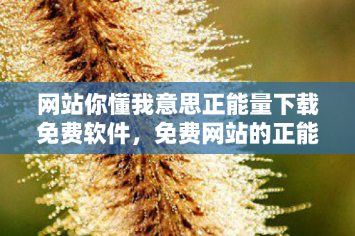 网站你懂我意思正能量下载免费软件，免费网站的正能量软件，探寻背后的真相与意义