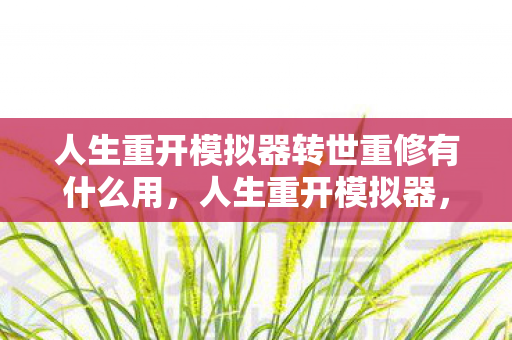 人生重开模拟器转世重修有什么用，人生重开模拟器，转世重修的奇妙旅程
