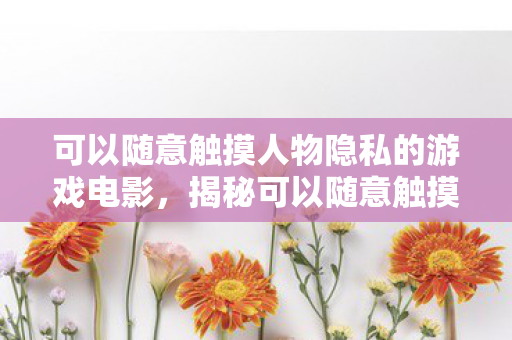 可以随意触摸人物隐私的游戏电影，揭秘可以随意触摸人物隐私的游戏背后的真相与挑战