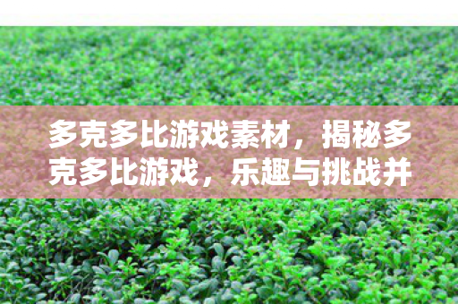 多克多比游戏素材，揭秘多克多比游戏，乐趣与挑战并存的世界