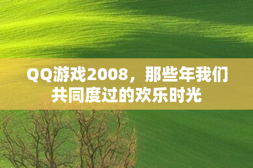 QQ游戏2008，那些年我们共同度过的欢乐时光