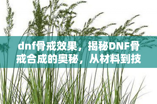 dnf骨戒效果，揭秘DNF骨戒合成的奥秘，从材料到技巧的全面解析