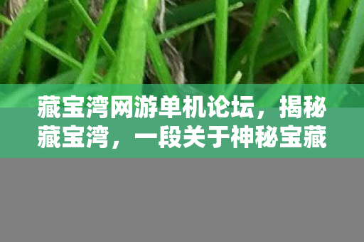 藏宝湾网游单机论坛，揭秘藏宝湾，一段关于神秘宝藏的传奇之旅