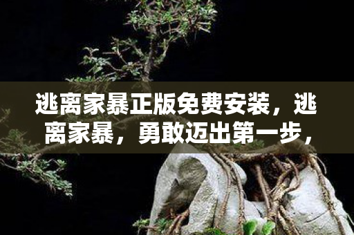 逃离家暴正版免费安装，逃离家暴，勇敢迈出第一步，重塑新生活