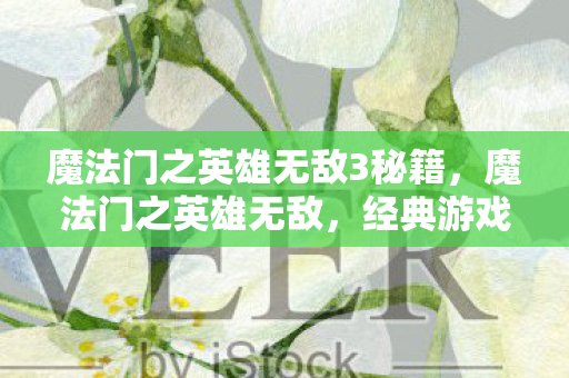 魔法门之英雄无敌3秘籍，魔法门之英雄无敌，经典游戏的魅力与策略深度解析