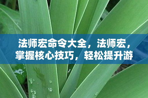 法师宏命令大全，法师宏，掌握核心技巧，轻松提升游戏体验