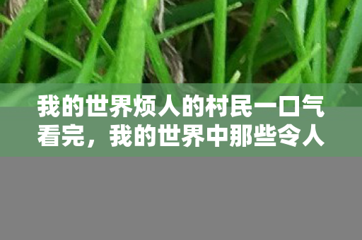 我的世界烦人的村民一口气看完，我的世界中那些令人头疼的村民行为