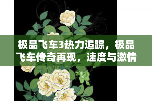 极品飞车3热力追踪，极品飞车传奇再现，速度与激情的终极对决—第3代回顾与解析