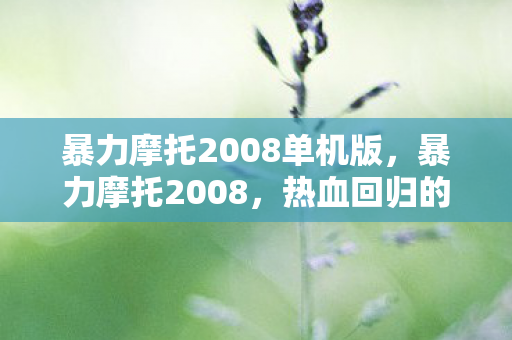 暴力摩托2008单机版，暴力摩托2008，热血回归的年代记忆