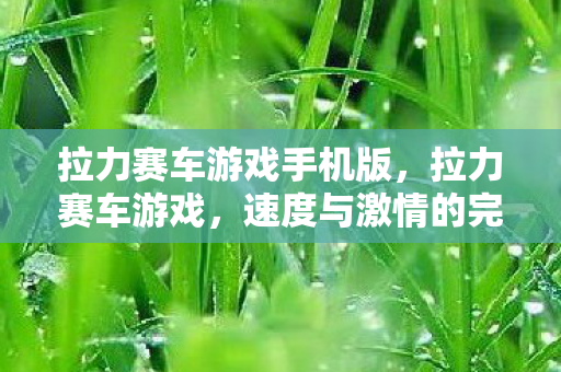 拉力赛车游戏手机版，拉力赛车游戏，速度与激情的完美融合