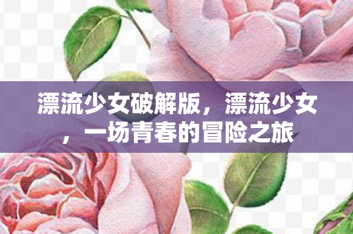 漂流少女破解版，漂流少女，一场青春的冒险之旅