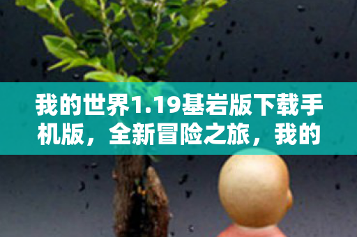我的世界1.19基岩版下载手机版，全新冒险之旅，我的世界1.19基岩版下载及探索指南