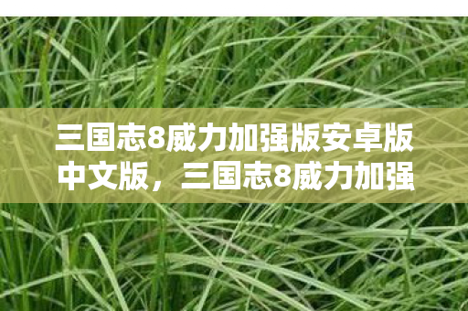 三国志8威力加强版安卓版中文版，三国志8威力加强版下载攻略及游戏介绍