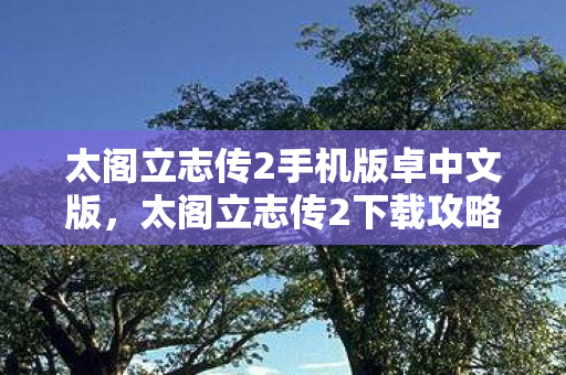 太阁立志传2手机版卓中文版，太阁立志传2下载攻略及游戏初探