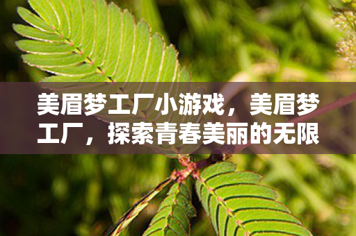 美眉梦工厂小游戏，美眉梦工厂，探索青春美丽的无限可能