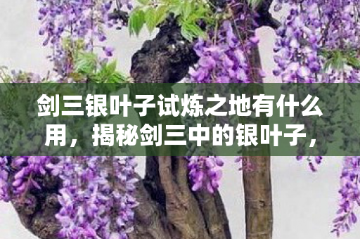剑三银叶子试炼之地有什么用，揭秘剑三中的银叶子，神秘功能与获取攻略