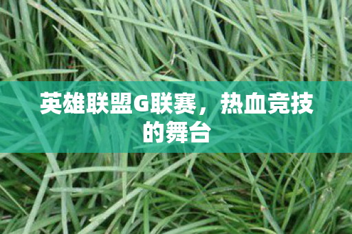 英雄联盟G联赛，热血竞技的舞台