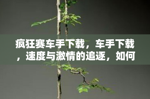 疯狂赛车手下载，车手下载，速度与激情的追逐，如何成为顶尖车手？