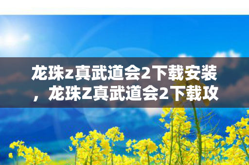 龙珠z真武道会2下载安装，龙珠Z真武道会2下载攻略及游戏特色解析