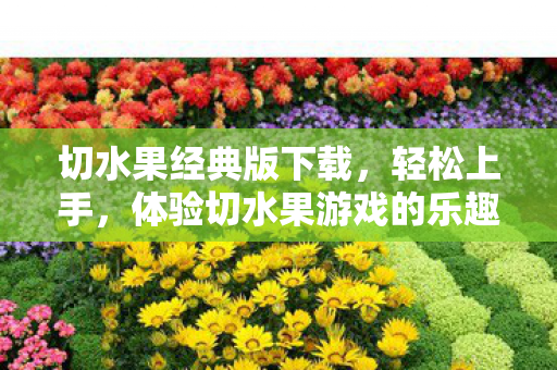 切水果经典版下载，轻松上手，体验切水果游戏的乐趣—下载指南