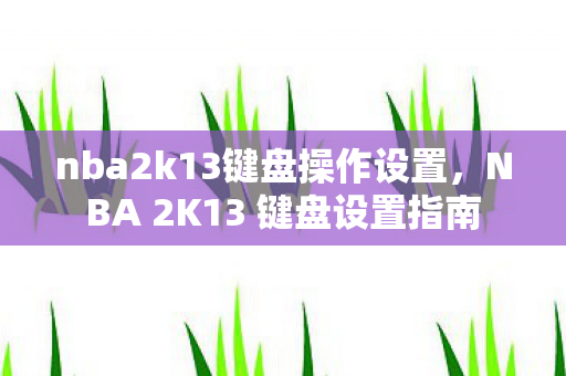 nba2k13键盘操作设置，NBA 2K13 键盘设置指南