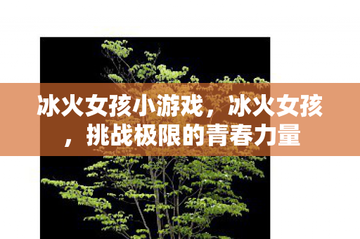 冰火女孩小游戏，冰火女孩，挑战极限的青春力量