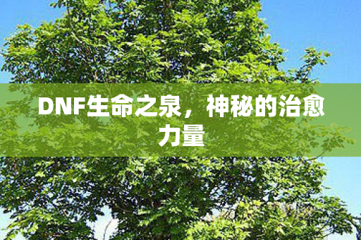 DNF生命之泉，神秘的治愈力量