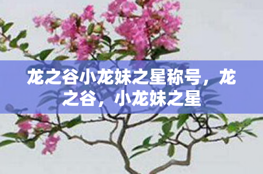 龙之谷小龙妹之星称号，龙之谷，小龙妹之星