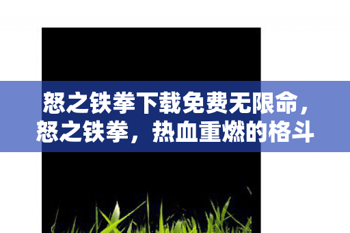 怒之铁拳下载免费无限命，怒之铁拳，热血重燃的格斗游戏下载指南