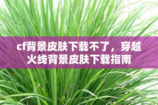 cf背景皮肤下载不了，穿越火线背景皮肤下载指南