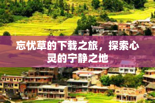 忘忧草的下载之旅，探索心灵的宁静之地