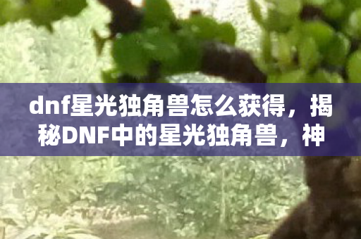 dnf星光独角兽怎么获得，揭秘DNF中的星光独角兽，神秘坐骑的传奇故事