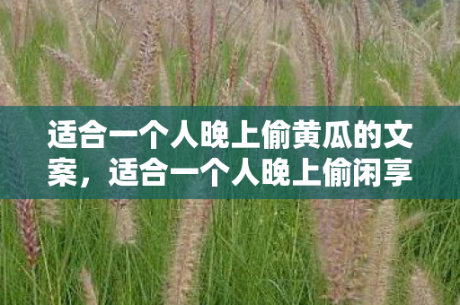 适合一个人晚上偷黄瓜的文案，适合一个人晚上偷闲享受的独特时光