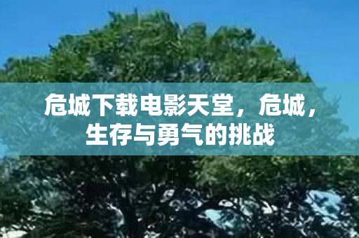 危城下载电影天堂，危城，生存与勇气的挑战