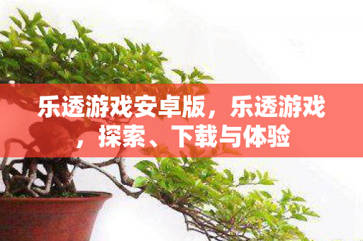 乐透游戏安卓版，乐透游戏，探索、下载与体验