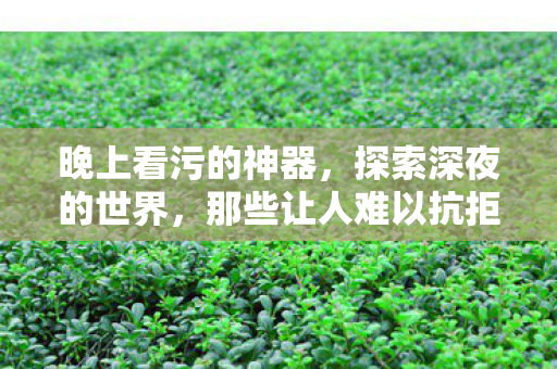 晚上看污的神器，探索深夜的世界，那些让人难以抗拒的污APP