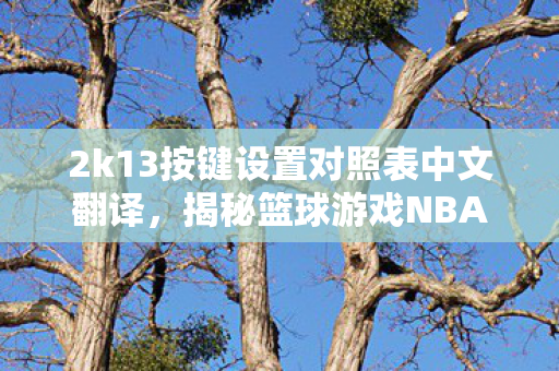2k13按键设置对照表中文翻译，揭秘篮球游戏NBA 2K13中的按键操作技巧