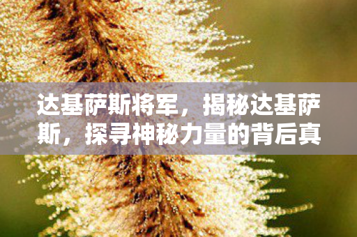 达基萨斯将军，揭秘达基萨斯，探寻神秘力量的背后真相