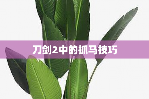 刀剑2中的抓马技巧