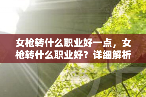 女枪转什么职业好一点，女枪转什么职业好？详细解析最佳职业选择