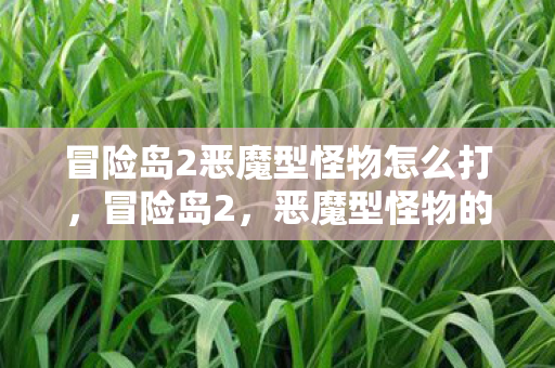 冒险岛2恶魔型怪物怎么打，冒险岛2，恶魔型怪物的挑战与征服